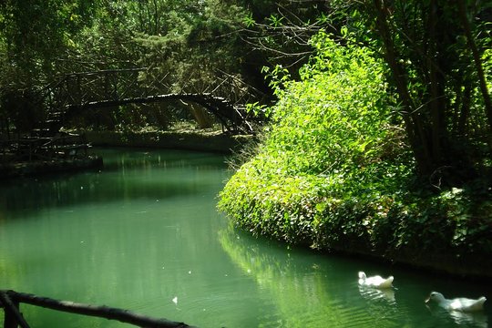 Tour image 8