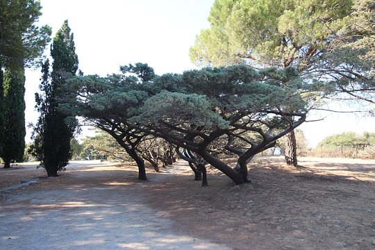 Tour image 8