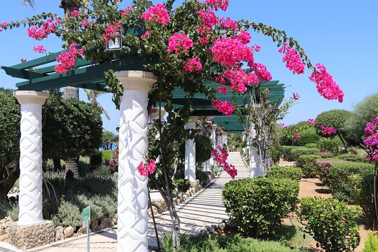 Tour image 14