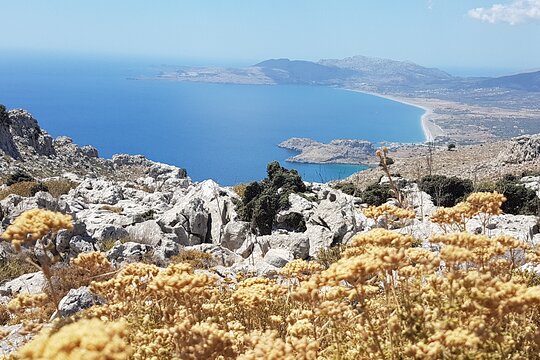 Tour image 14