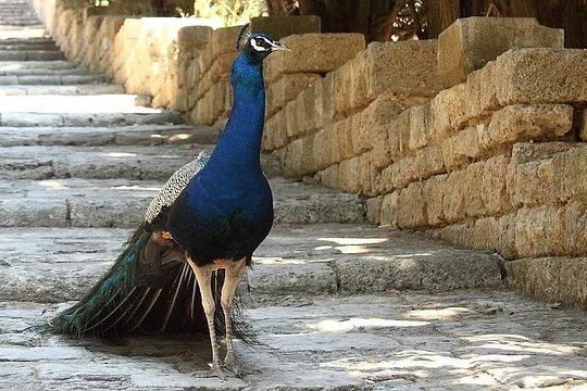 Tour image 1