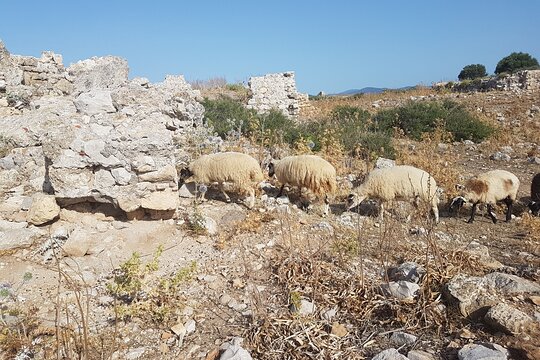 Tour image 6